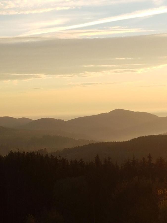 Ferienwohnung Haus Ruhrkopfblick Winterberg Bagian luar foto